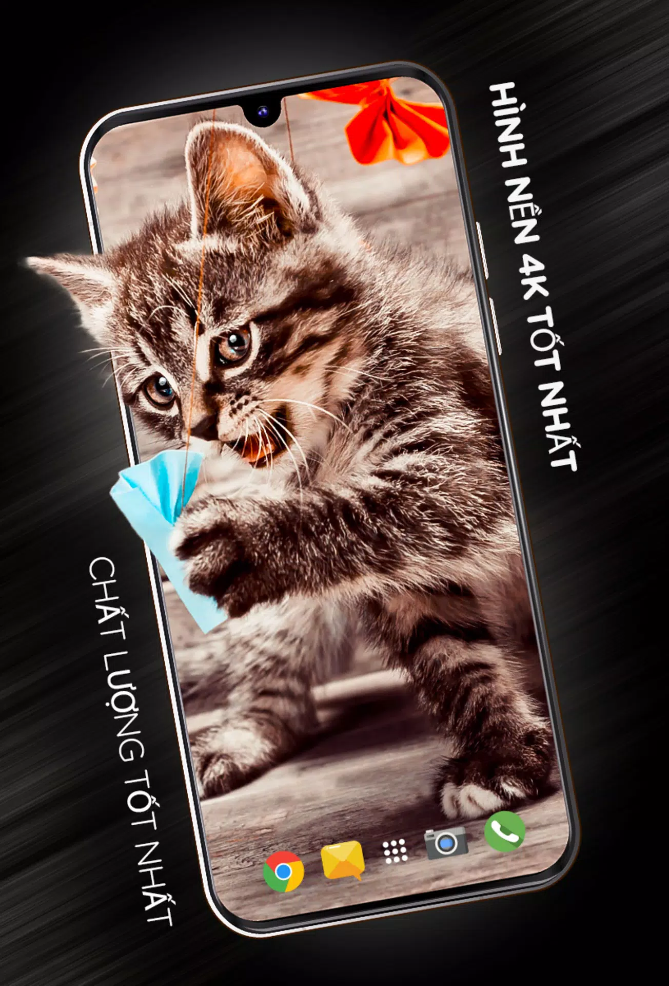 Hình Nền Mèo Ở 4K Cho Android - Tải Về Apk