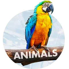 Baixar Papéis de parede com animais APK