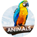 Fonds d'écran des animaux cool APK