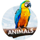 Animals Wallpapers for phone icon
