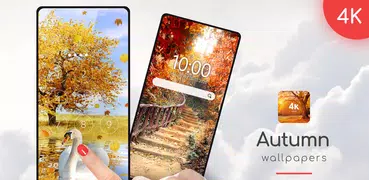 Autumn Wallpapers in 4K