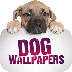 Wallpapers with dogs in 4K APK download