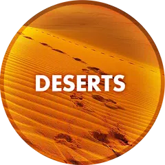 Desert Wallpapers in 4K