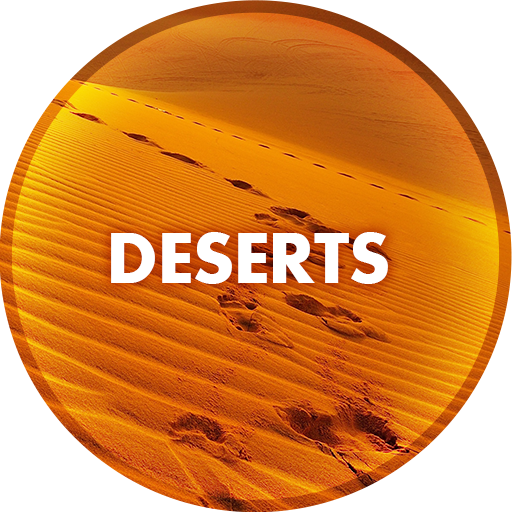 Desert Wallpapers in 4K