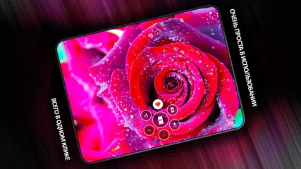 Скачать Цветы обои в 4K APK