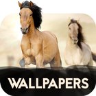 Wallpapers with Horses in 4K ไอคอน