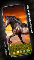 Wallpapers with Horses in 4K โปสเตอร์