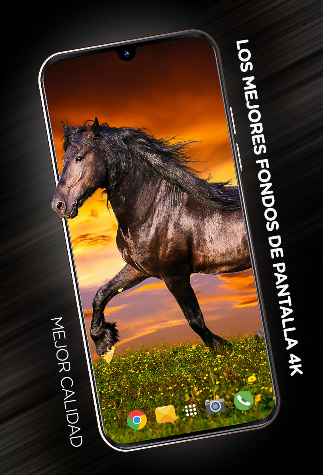 Descarga de APK de Fondos con caballos para Android