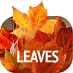 ”Leaves Wallpapers