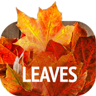 Leaves Wallpapers-icoon