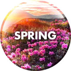 Spring Wallpapers in 4K APK download