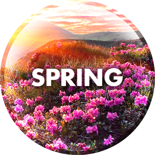 Spring Wallpapers in 4K