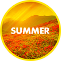 Summer wallpapers