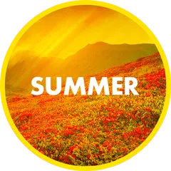 Summer Wallpapers in 4K APK download