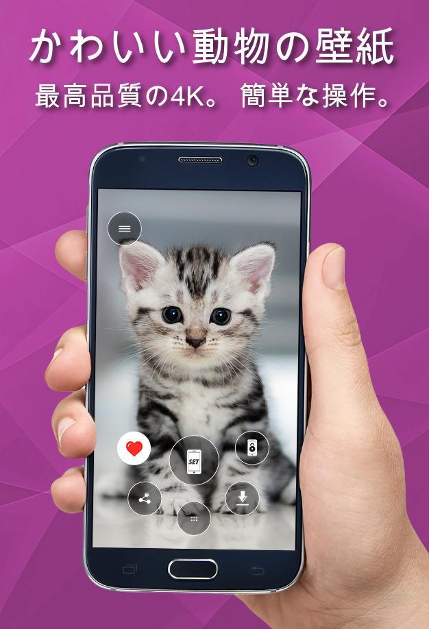 Android 用の かわいい動物の壁紙 Apk をダウンロード