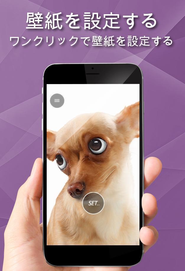 Android 用の かわいい動物の壁紙 Apk をダウンロード