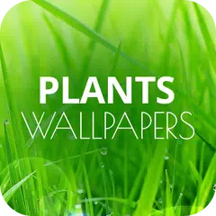 download Sfondi di piante in 4K APK