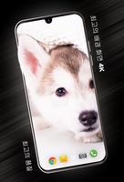 4K의 강아지 배경 화면 포스터