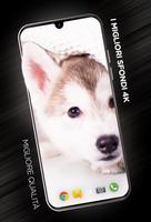 Poster Sfondi di cuccioli in 4K