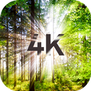 Arbres Fonds d'écran en 4K APK