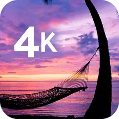 Tropical wallpaper in 4K APK download