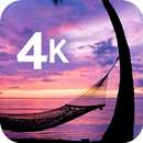 Fond d'écran tropical en 4K APK