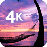 Fond d'écran tropical en 4K icône