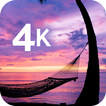 Fond d'écran tropical en 4K