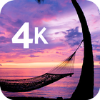 Tropical wallpaper in 4K آئیکن