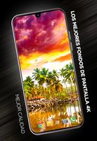 Fondo de tropicales Poster