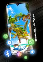 Fondo de tropicales captura de pantalla 2