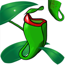 Nepy APK