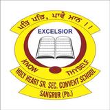 HOLY HEART  SR. SEC. CONVENT SCHOOL , SANGRUR icône