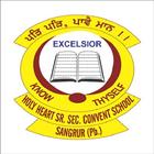 HOLY HEART  SR. SEC. CONVENT SCHOOL , SANGRUR أيقونة