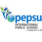 Pepsu International School icône