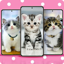 Cat Wallpapers Cute APK