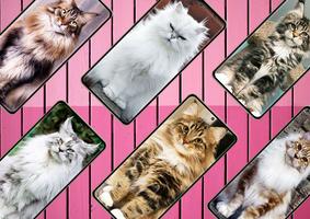 Cat Wallpapers Cute screenshot 2