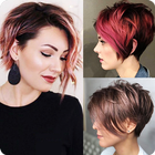 Pixie Bob Haircut icône