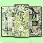 Sage Green Aesthetic Wallpaper आइकन