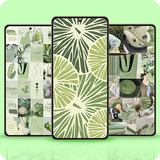 Sage Green Aesthetic Wallpaper APK