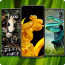 Snake Wallpaper APK