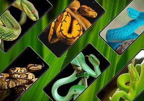Snake Wallpaper screenshot 1