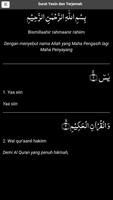 Surat Yasin dan Terjemah скриншот 3