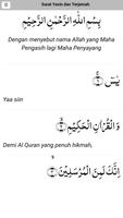 Surat Yasin dan Terjemah ảnh chụp màn hình 1