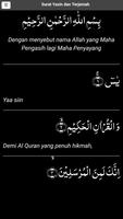 Surat Yasin dan Terjemah скриншот 2