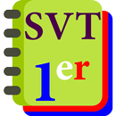 SVT 1re APK