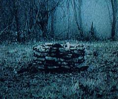 Horror Wallpaper capture d'écran 2
