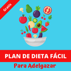 Plan De Dieta Fácil Para Adelgazar ไอคอน