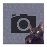 猫のカメラ アイコン