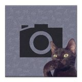 Cat Bomb ícone